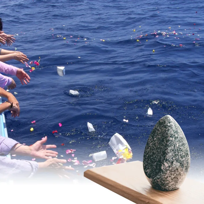 海洋散骨プラン イメージ